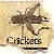 :iconcryckit: