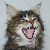 :iconcrymzincatamon: