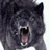 :iconcryofthewolves: