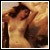 :iconcrypdreamsted: