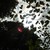 :iconcryptic-mess: