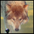 :iconcrypticidentity: