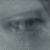 :iconcryptoferret: