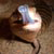 :iconcryptolizard: