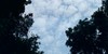 :iconcrystal-blue-kennel: