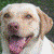 :iconcrystal-pearl101: