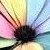 :iconcrystal-rainbow55: