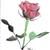 :iconcrystal689: