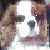 :iconcrystal8monkey: