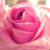:iconcrystal95: