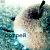 :iconcrystalapple: