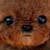 :iconcrystalburn: