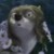 :iconcrystalcat15: