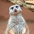 :iconcrystalhopper: