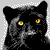 :iconcrystalinemind: