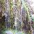 :iconcrystalizedwaterfall:
