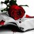 :iconcrystallia-silver:
