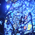 :iconcrystallinewinter: