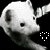 :iconcrystalpen: