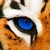 :iconcrystalslegend: