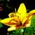:iconcrystalthorn: