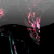 :iconcrytix:
