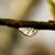 :iconcscansenphotography:
