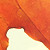 :iconcscmnhs: