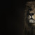 :iconcsierra72: