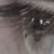 :iconcsikano5: