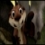:iconcsjhun: