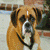 :iconcskphotography: