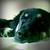 :iconcsmf27: