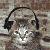 :iconcsopikee: