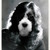 Cspringer :iconcspringer: