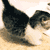 :iconcss-imaginejl: