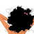 :iconctdung: