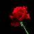 :iconcthornton567: