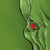 :iconcthulhu-fhtagn: