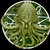 :iconcthulhucattala: