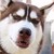 :iconctpassword: