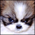 :iconcu5:
