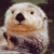 cuan-leanabh :iconcuan-leanabh: