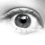 :iconcubiccow: