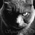 :iconcucciantifabreizh: