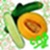 :iconcucumbermelonbrigade: