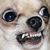 :iconcuddleshappy:
