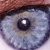 :iconcuddly-carpy: