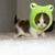 :iconcuddly-creatures: