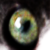 :iconcuddlydogs: